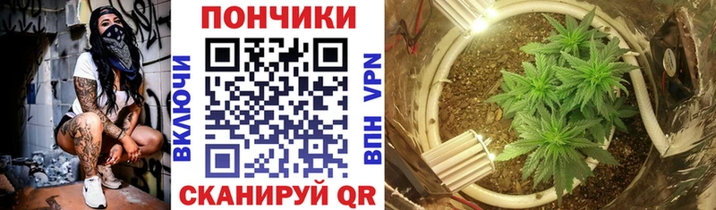 Каннабис AK-47  Разумное 